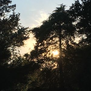 Meet your Posher, Drew